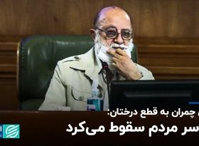 واکنش چمران به قطع درختان: روی سر مردم سقوط می‌کرد