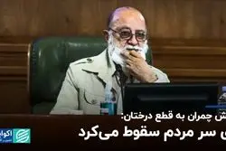 واکنش چمران به قطع درختان: روی سر مردم سقوط می‌کرد