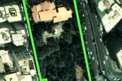 جزییات تازه از یک رای غیر قانونی/200درخت کهنسال در معرض نابودی 