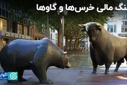 جنگ مالی خرس‌‌ها و گاوها