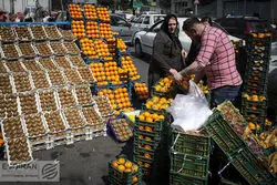 رشد قیمتی اقلام خوراکی در ایستگاه پایانی 1403 