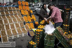 رشد قیمتی اقلام خوراکی در ایستگاه پایانی 1403 