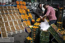 رشد قیمتی اقلام خوراکی در ایستگاه پایانی 1403 