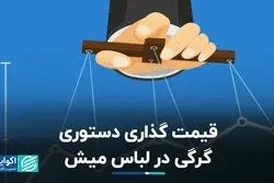 قیمت‌ گذاری دستوری، گرگی در لباس میش