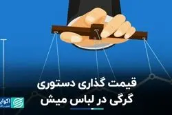 قیمت‌ گذاری دستوری، گرگی در لباس میش