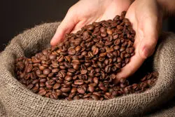 قهوه‌ی نجات بخش؛ فناوری جدید تشخیص بیماری های مرگبار با الهام از لکه‌های قهوه