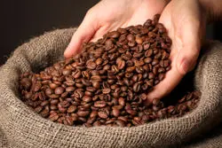 قهوه‌ی نجات بخش؛ فناوری جدید تشخیص بیماری های مرگبار با الهام از لکه‌های قهوه