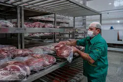 واردات؛ التیام‌بخش کمبود گوشت در کشور