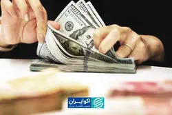 بانک مرکزی به دنبال جذب دلارهای خانگی؛ گواهی سپرده ارزی چقدر موفق خواهد بود؟
