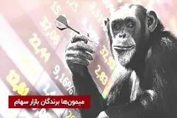 میمون‌ها برندگان بازار سهام