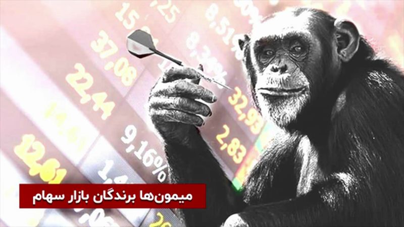 میمون‌ها برندگان بازار سهام