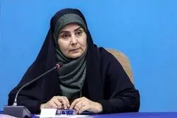 وزیر راه: ۱۰۰ هواپیما را در جنگ از دست دادیم