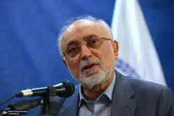 صالحی: جامعه‌ای که پرسش را جرم بداند، پویا و خلاق نمی‌شود