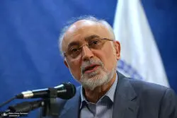 صالحی: جامعه‌ای که پرسش را جرم بداند، پویا و خلاق نمی‌شود
