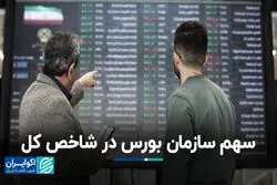 سهم سازمان بورس در شاخص کل