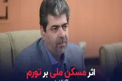 اثر مسکن ملی بر تورم