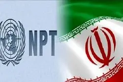 یک نماینده مجلس: معنای خروج از NPT ساختن بمب اتم است/ فکر نمی‌کنم ما از ان. پی. تی خارج شویم