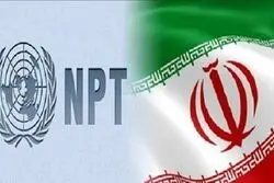 لاهوتی: امیدواریم جمهوری اسلامی مجبور به خروج از NPT  نشود