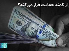 دلار از کمند حمایت فرار می‌کند؟