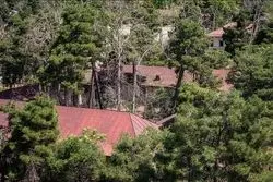 ورود شورا به وضعیت درختان پادگان 06/ مدیری که پادگان را هم باغ اعلام کرد هم غیر باغ!

