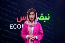 چرخش نقدینگی میان صنایع و ادامه رکود محتاط در بورس