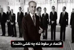 اقتصاد در سقوط شاه چه نقشی داشت؟

