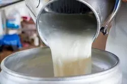 جزئیات افزایش قیمت شیر