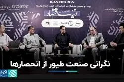 نگرانی صنعت طیور از رشد انحصار و نابودی واحدهای کوچک