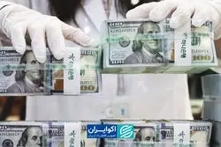 فدرال رزرو، سرعتگیر دلار در تهران؟