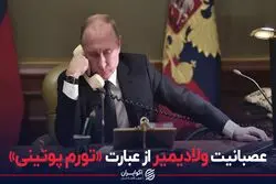 عصبانیت ولادیمیر از عبارت «تورم پوتینی»