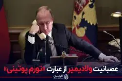 عصبانیت ولادیمیر از عبارت «تورم پوتینی»