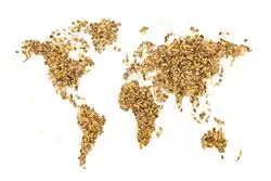 اقتصاد سبز غرق در آتش جنگ؛ چگونه نوسانات قیمت گاز امنیت غذایی دنیا را به بازی می‌گیرد؟ 