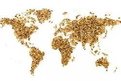 فائو: قیمت موادغذایی رشد کرد / توقف کاهش قیمت غلات در جهان