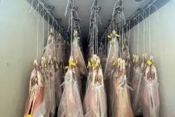 ارسال اولین محموله گوشت از کنیا به ایران؛ گوشت‌ تنظیم‌بازاری چند؟  