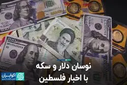 نوسان دلار و سکه با اخبار فلسطین/ اتهام‌زنی توییتری سوژه معامله‌گران