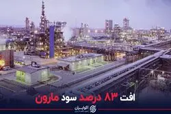 افت 83 درصد سود مارون