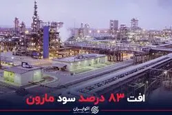 افت 83 درصد سود مارون