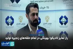 راز تمایز تادیکو؛ بهینگی در تمام حلقه‌های زنجیره تولید