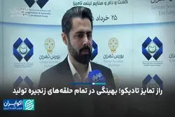 راز تمایز تادیکو؛ بهینگی در تمام حلقه‌های زنجیره تولید