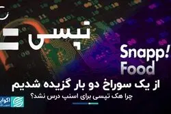 از یک سوراخ دو بار گزیده شدیم/  چرا هک تپسی برای اسنپ درس نشد؟