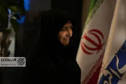 بازدید رئیس سازمان محیط زیست از گروه رسانه‌ای دنیای اقتصاد 