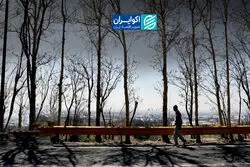 چرا چیتگر خشکید؟