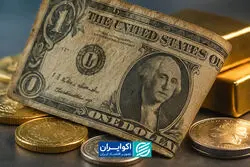 فعالان بازار دست به ماشه شدند