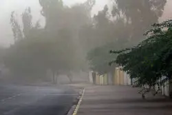  هشدار هواشناسی برای تهرانی‌ها/ وزش باد شدید در راه است