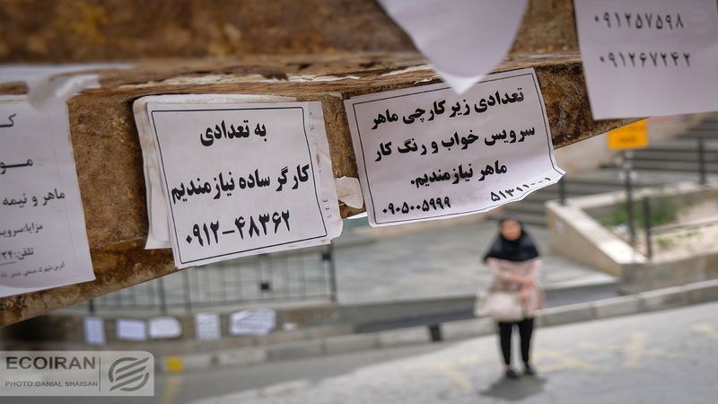 نقشه اشتغال در جغرافیای ایران: زنجان در قله نسبت اشتغال