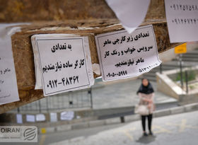 نقشه اشتغال در جغرافیای ایران: زنجان در قله نسبت اشتغال