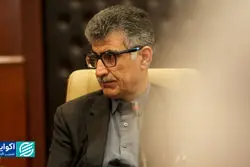 روایت تیمور رحمانی از چند مغالطه ارزی