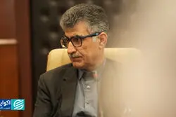 پادکست | روایت تیمور رحمانی از چند مغالطه ارزی