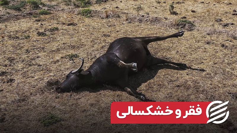  فقر و خشکسالی 