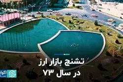 تشنج بازار ارز در سال 73